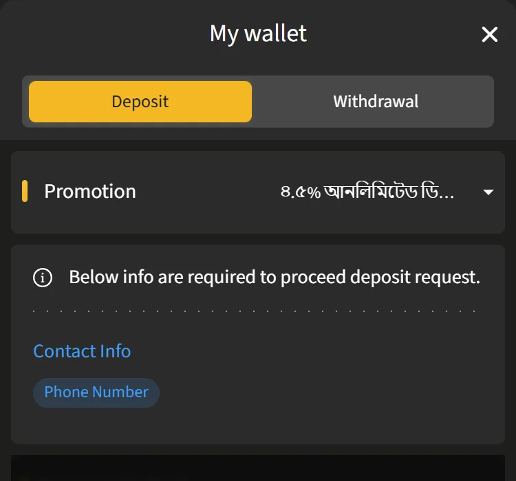 My wallet Deposit tab asking for a verified Phone Number before the payment methods open
