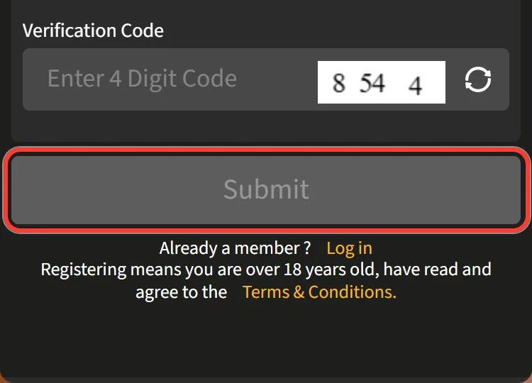 Submit button with the 18+ and Terms and Conditions line underneath